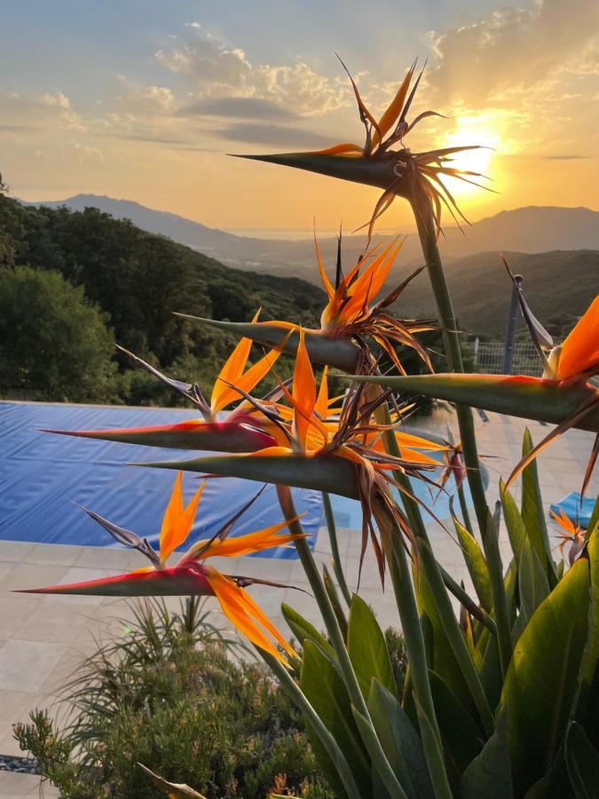 Villa U Tramontu Granace Extérieur photo